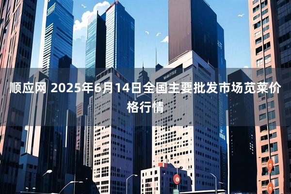 顺应网 2025年6月14日全国主要批发市场苋菜价格行情
