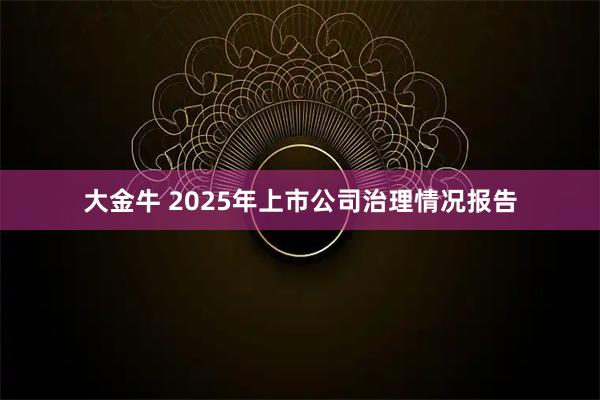 大金牛 2025年上市公司治理情况报告