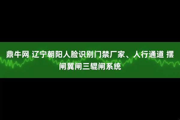 鼎牛网 辽宁朝阳人脸识别门禁厂家、人行通道 摆闸翼闸三辊闸系统