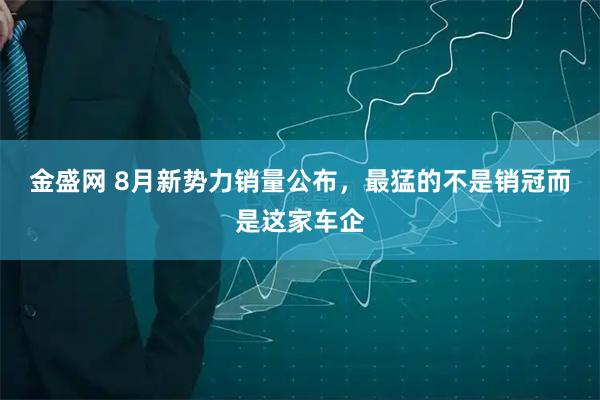 金盛网 8月新势力销量公布，最猛的不是销冠而是这家车企
